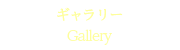 ギャラリー/ Gallery